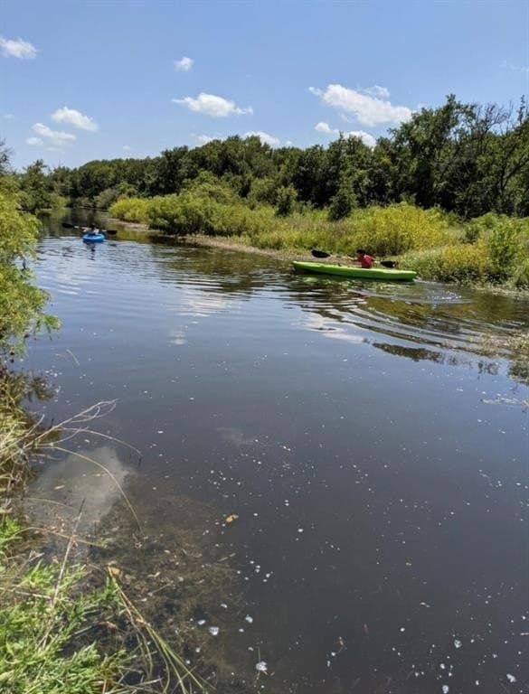 120.26 acres in Limestone County - photo 4