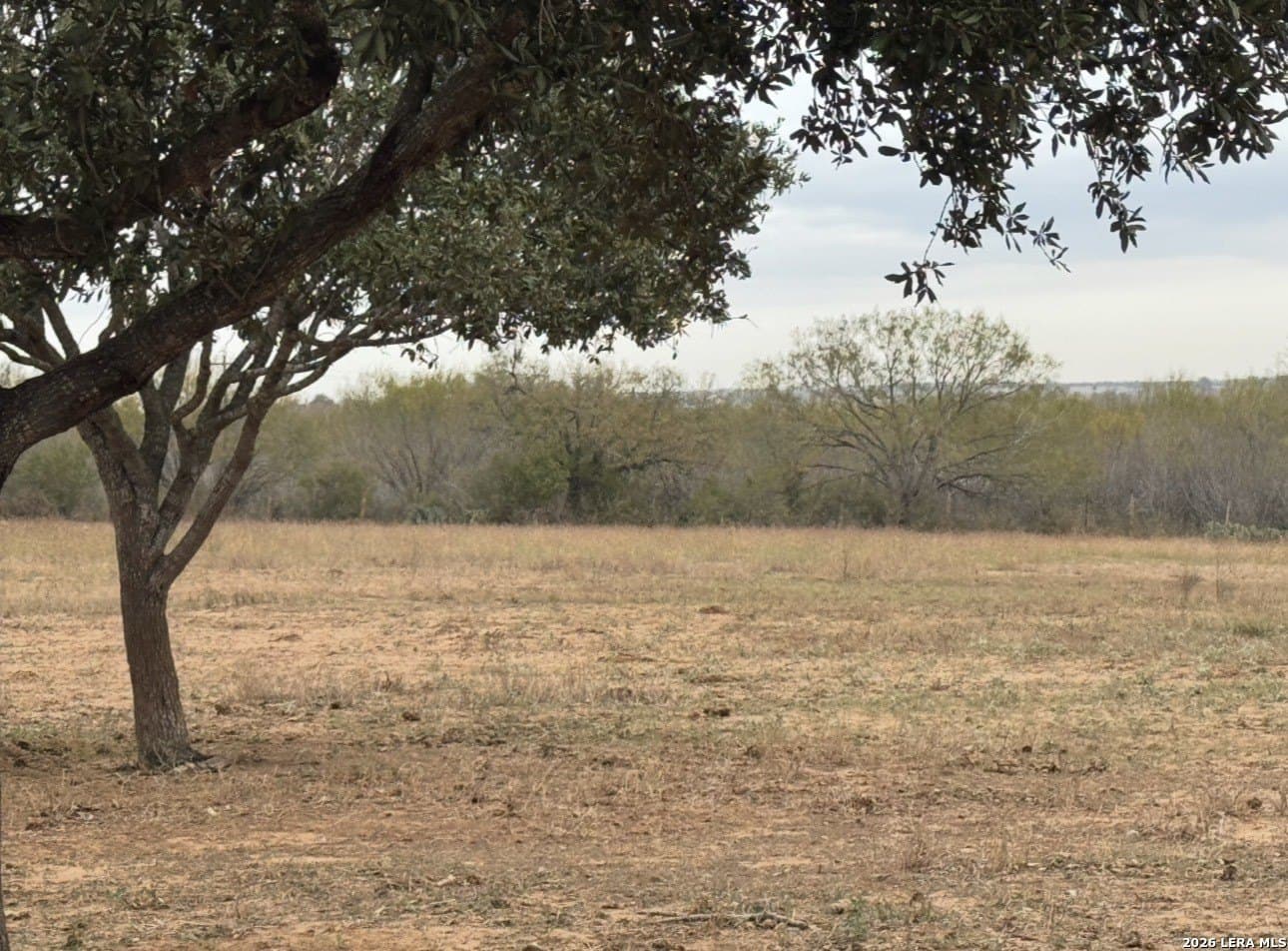 62.15 acres in Wilson County - photo 2