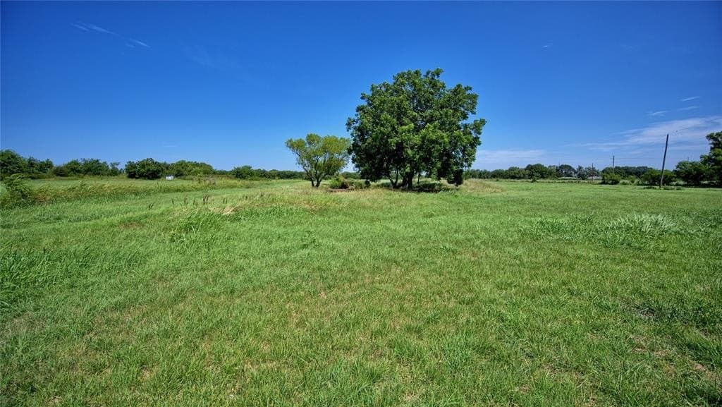 43.5 acres in Montague County - photo 11