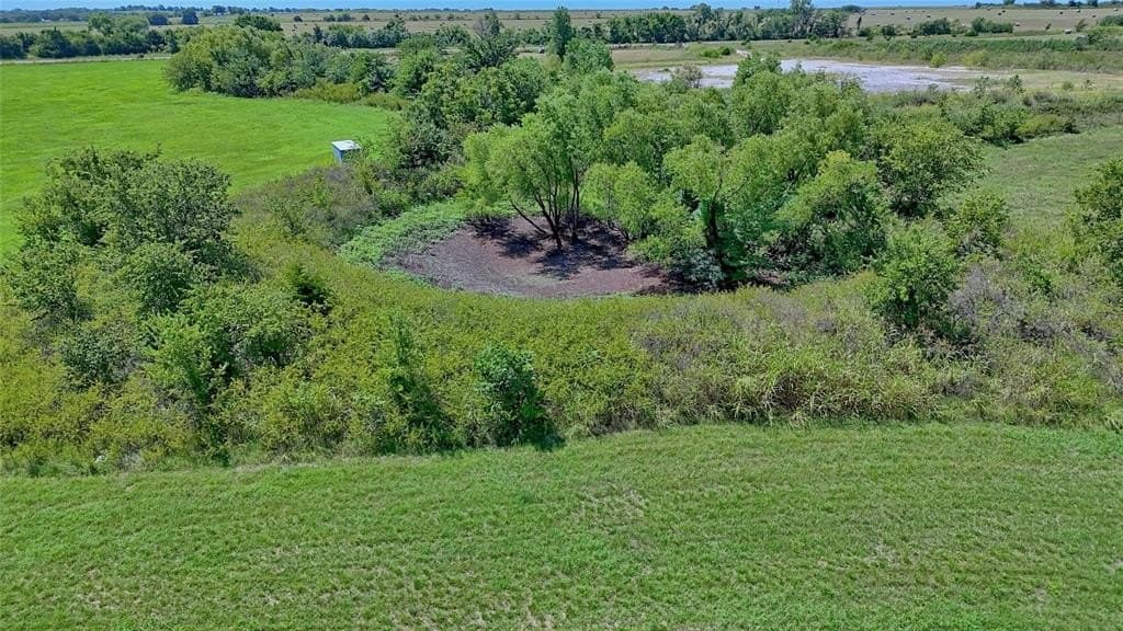 43.5 acres in Montague County - photo 6