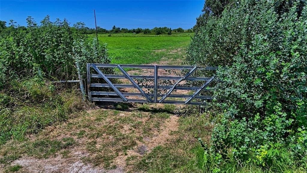 43.5 acres in Montague County - photo 9