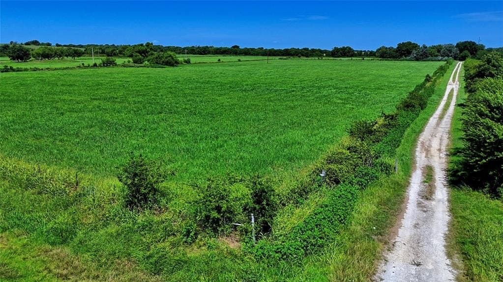 43.5 acres in Montague County - photo 4