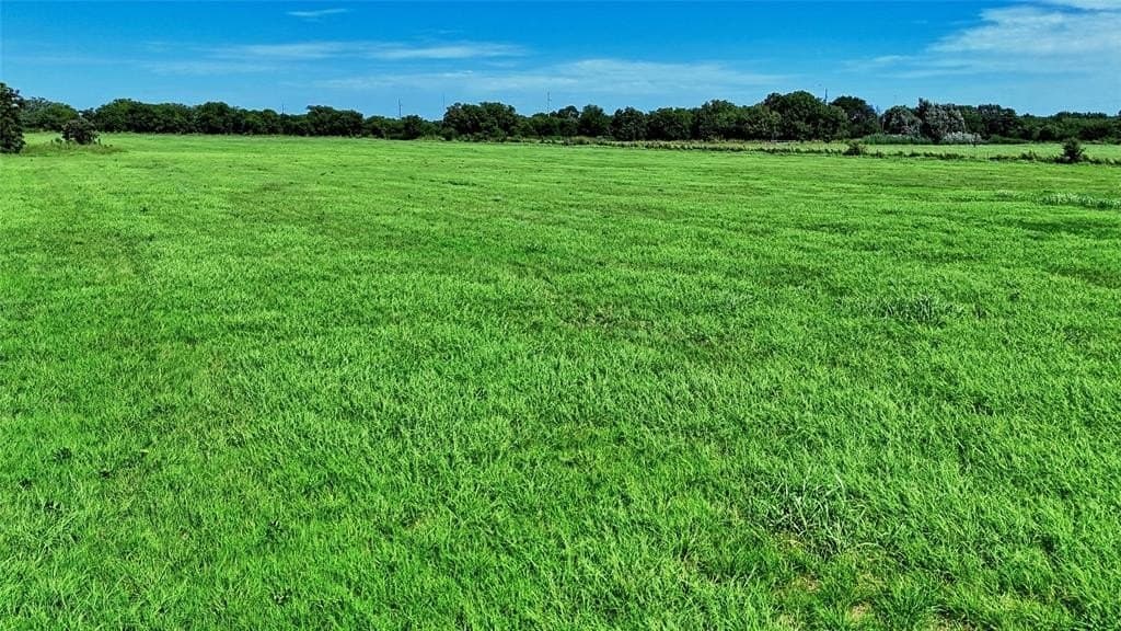 43.5 acres in Montague County - photo 8