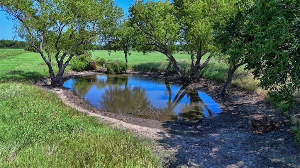 43.5 acres in Montague County - photo 5