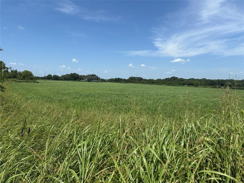43.5 acres in Montague County - photo 3