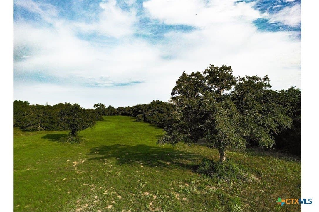 53.76 acres in Milam County - photo 4
