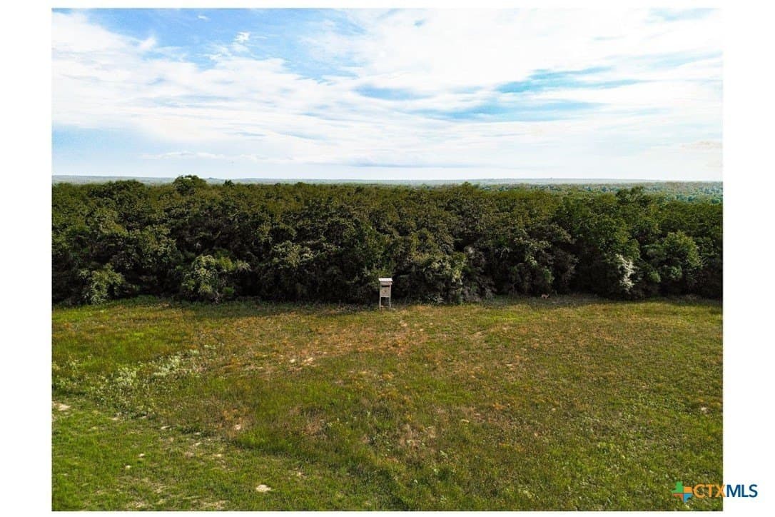 53.76 acres in Milam County - photo 3