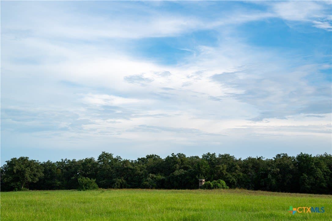 53.76 acres in Milam County - photo 6