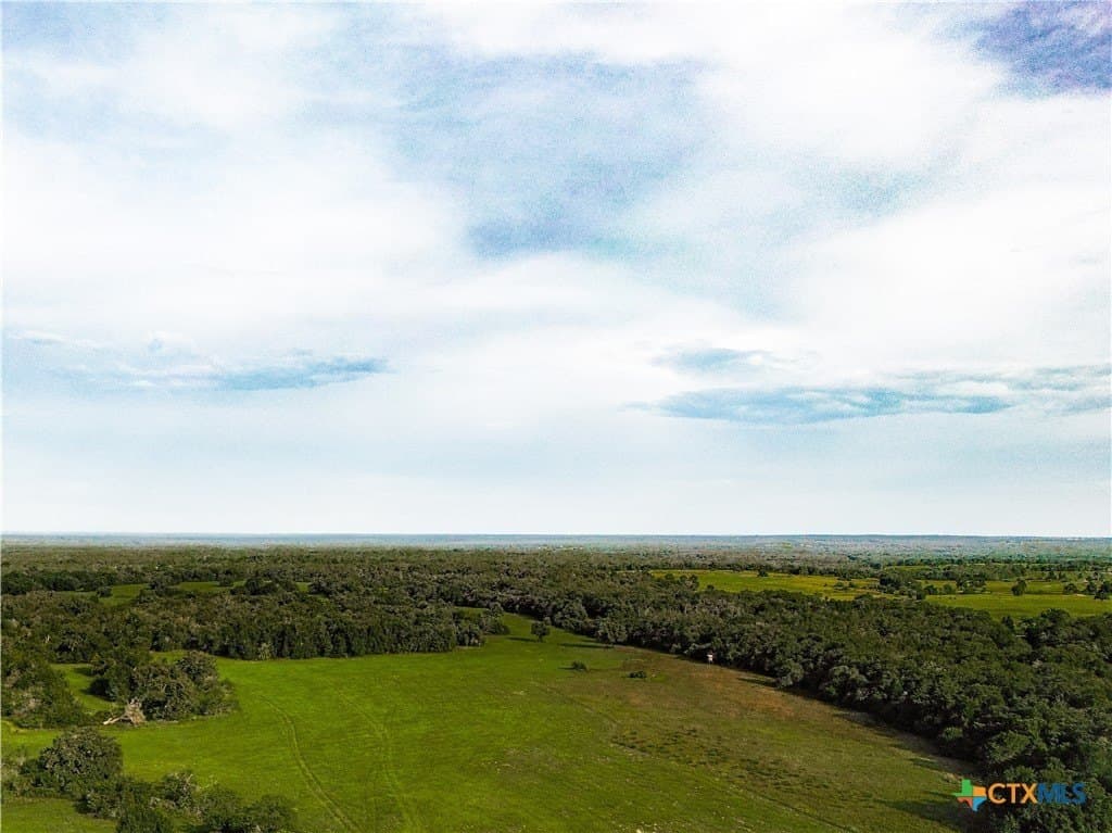 53.76 acres in Milam County - photo 5