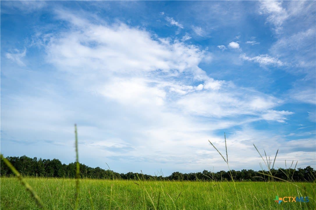53.76 acres in Milam County - photo 7