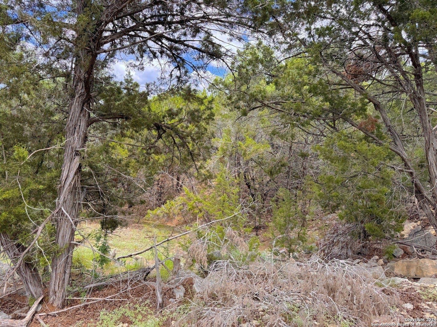 1.02 acres in Comal County - photo 5