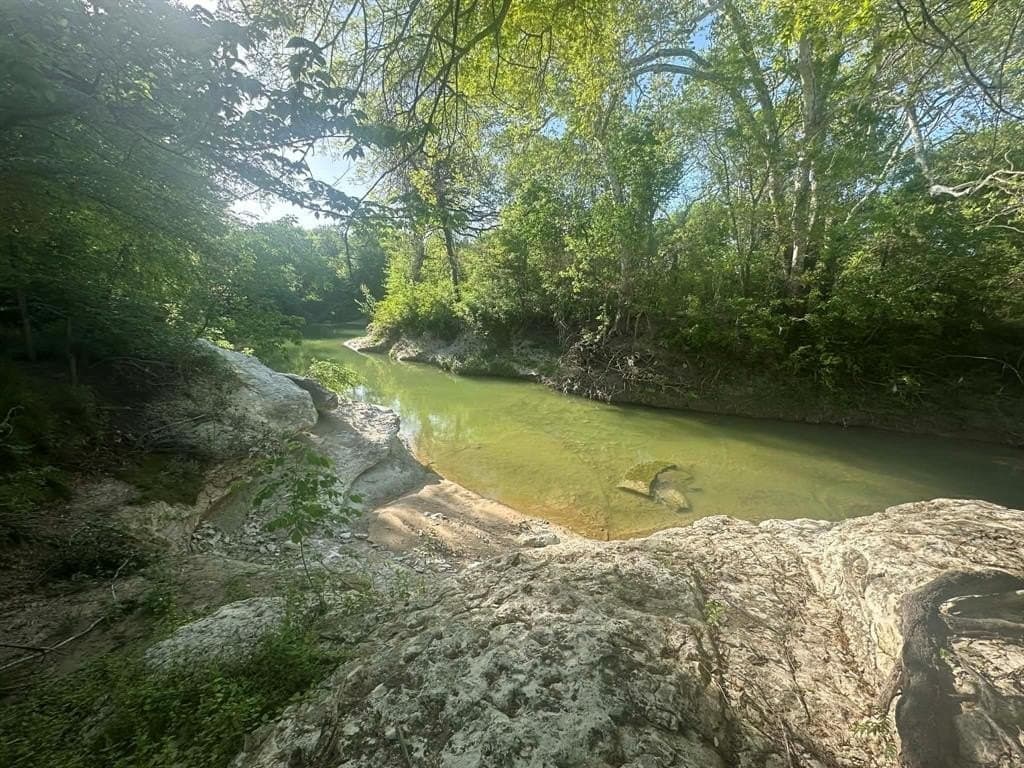 2.38 acres in Dallas County - photo 6