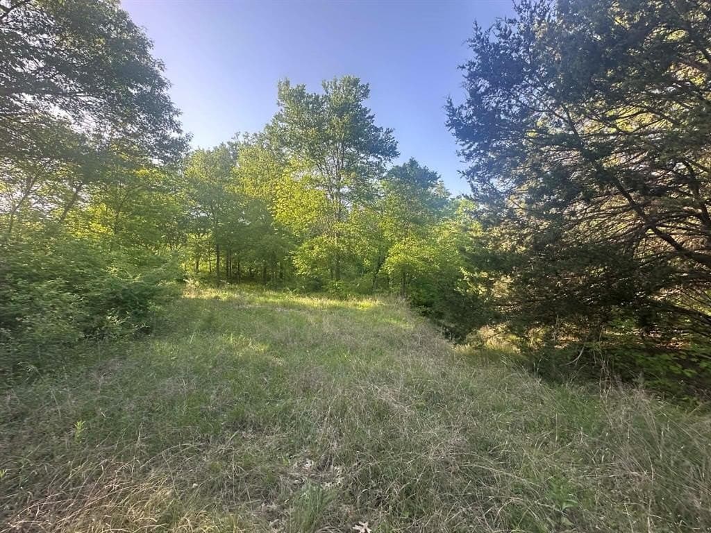 2.38 acres in Dallas County - photo 2