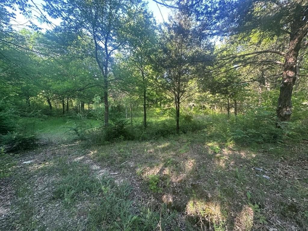 2.38 acres in Dallas County - photo 3