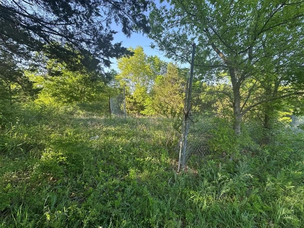 2.38 acres in Dallas County - photo 5