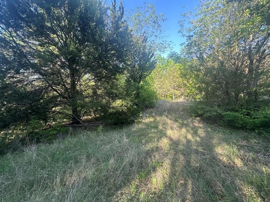 2.38 acres in Dallas County - photo 4
