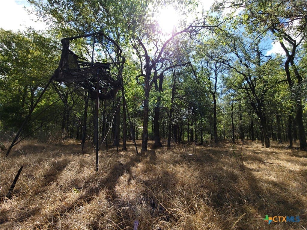 41.92 acres in Bell County - photo 6