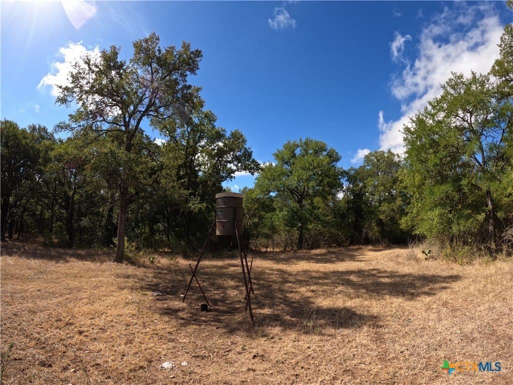 41.92 acres in Bell County - photo 18