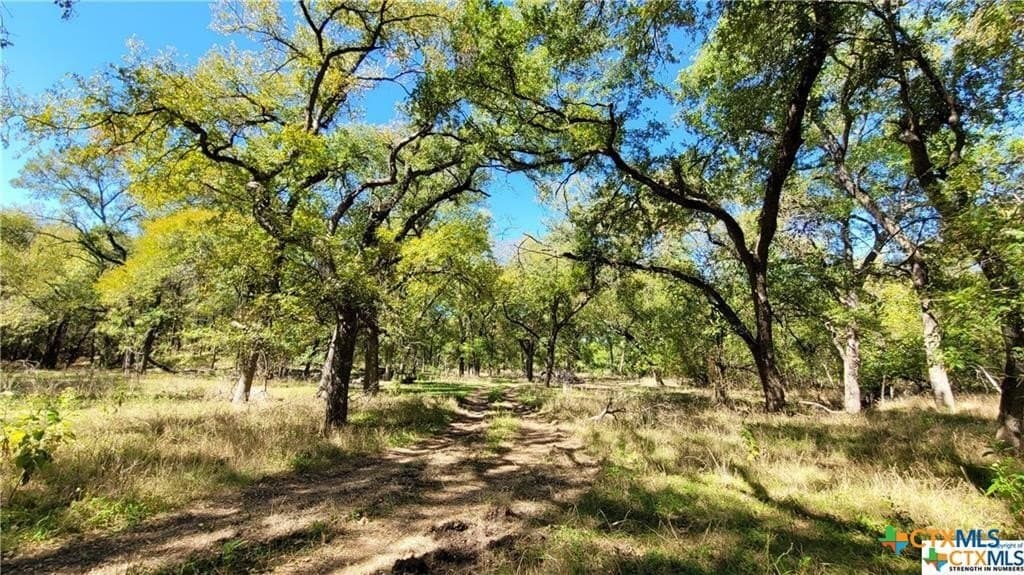 41.92 acres in Bell County - photo 11
