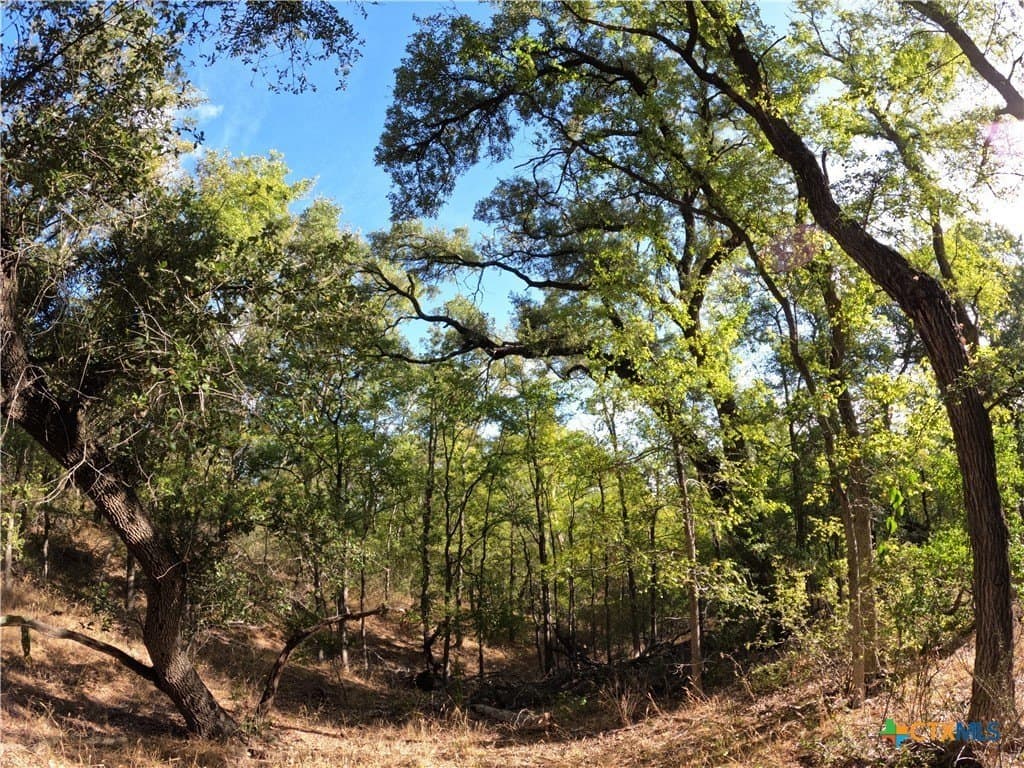 41.92 acres in Bell County - photo 16