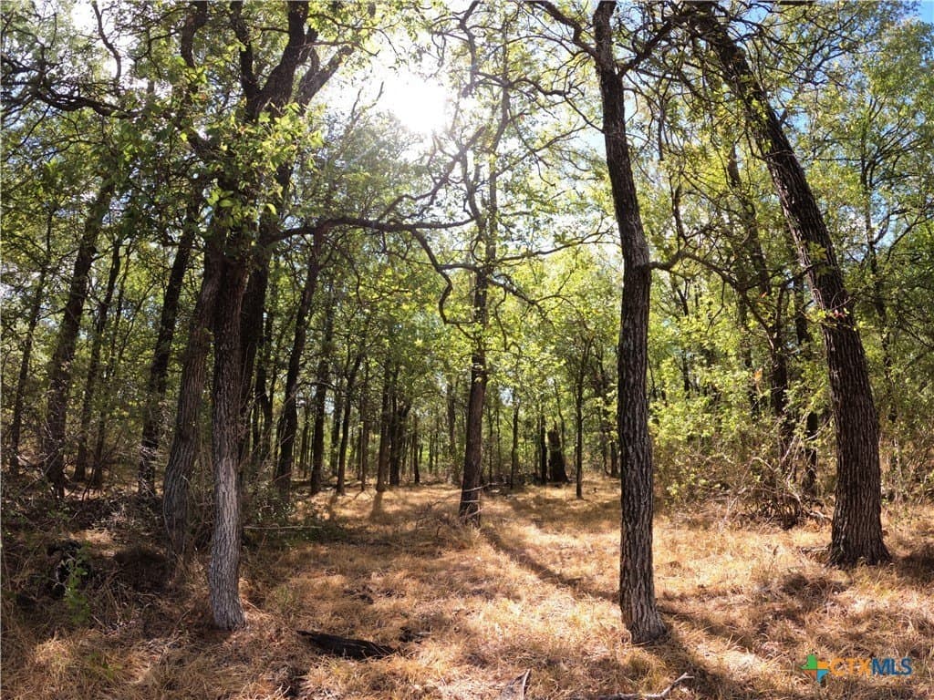 41.92 acres in Bell County - photo 20