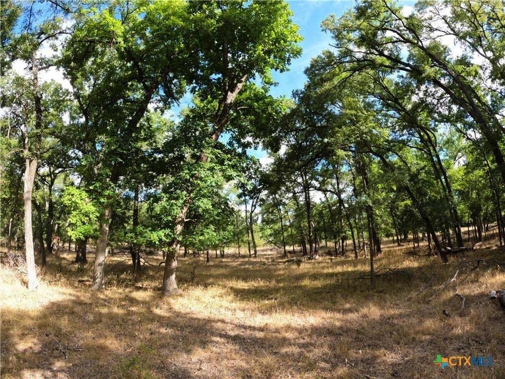 41.92 acres in Bell County - photo 7