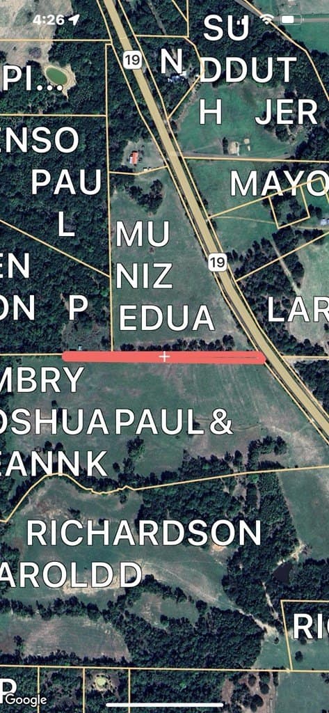 31.01 acres in Anderson County - photo 6