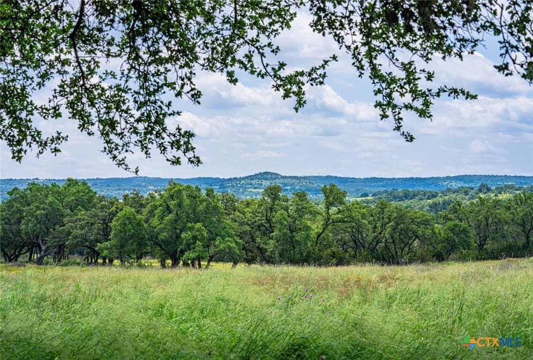 259.15 acres in Blanco County - photo 35