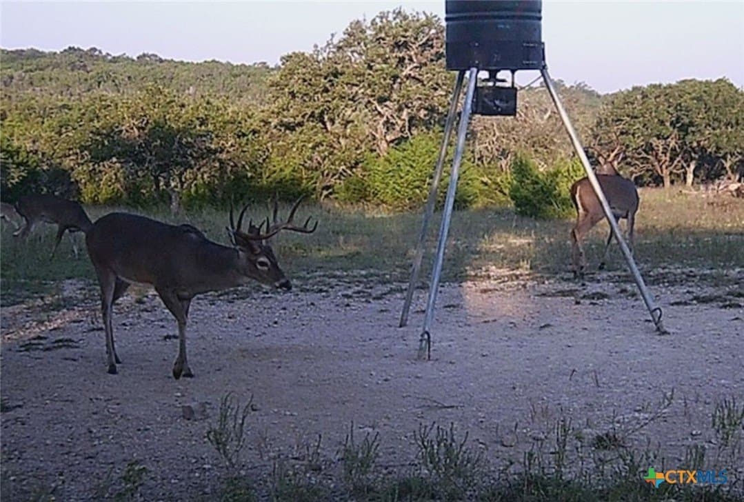 259.15 acres in Blanco County - photo 40