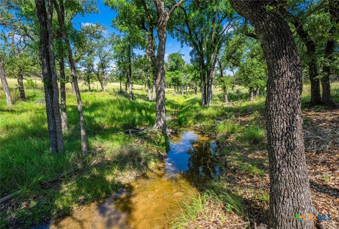 259.15 acres in Blanco County - photo 36