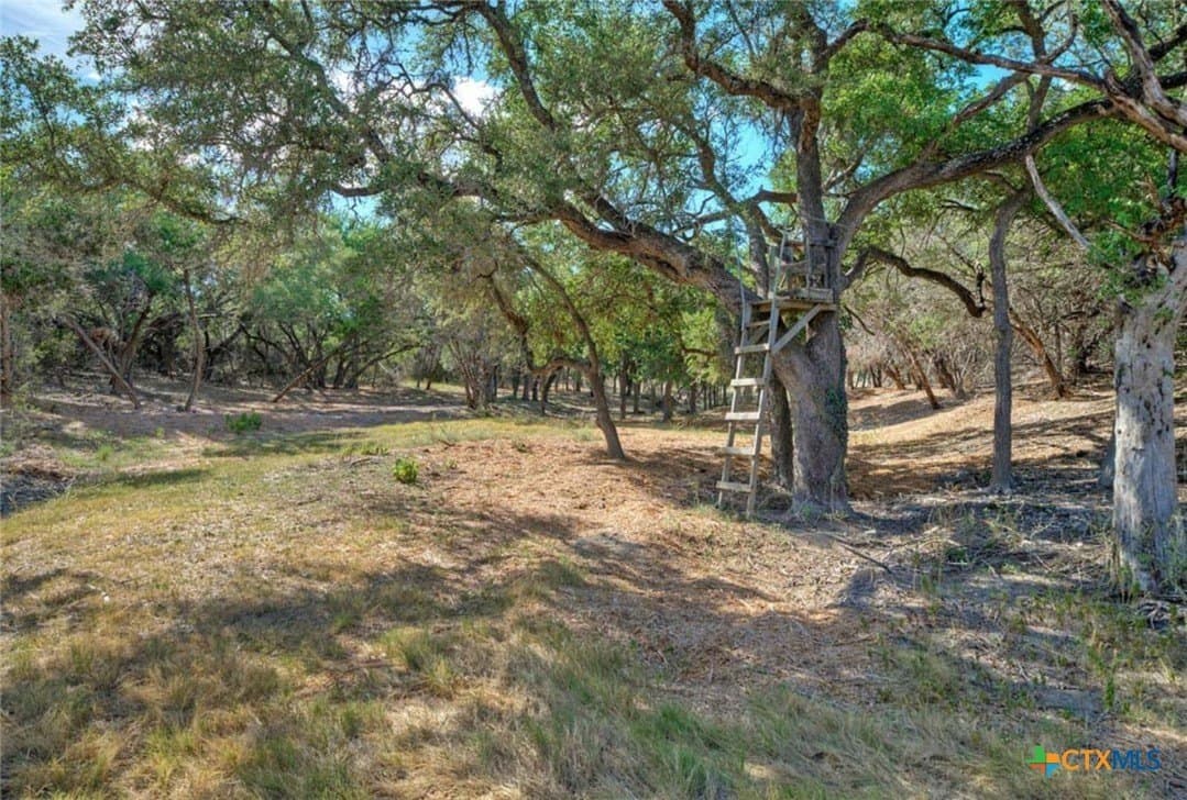 259.15 acres in Blanco County - photo 34
