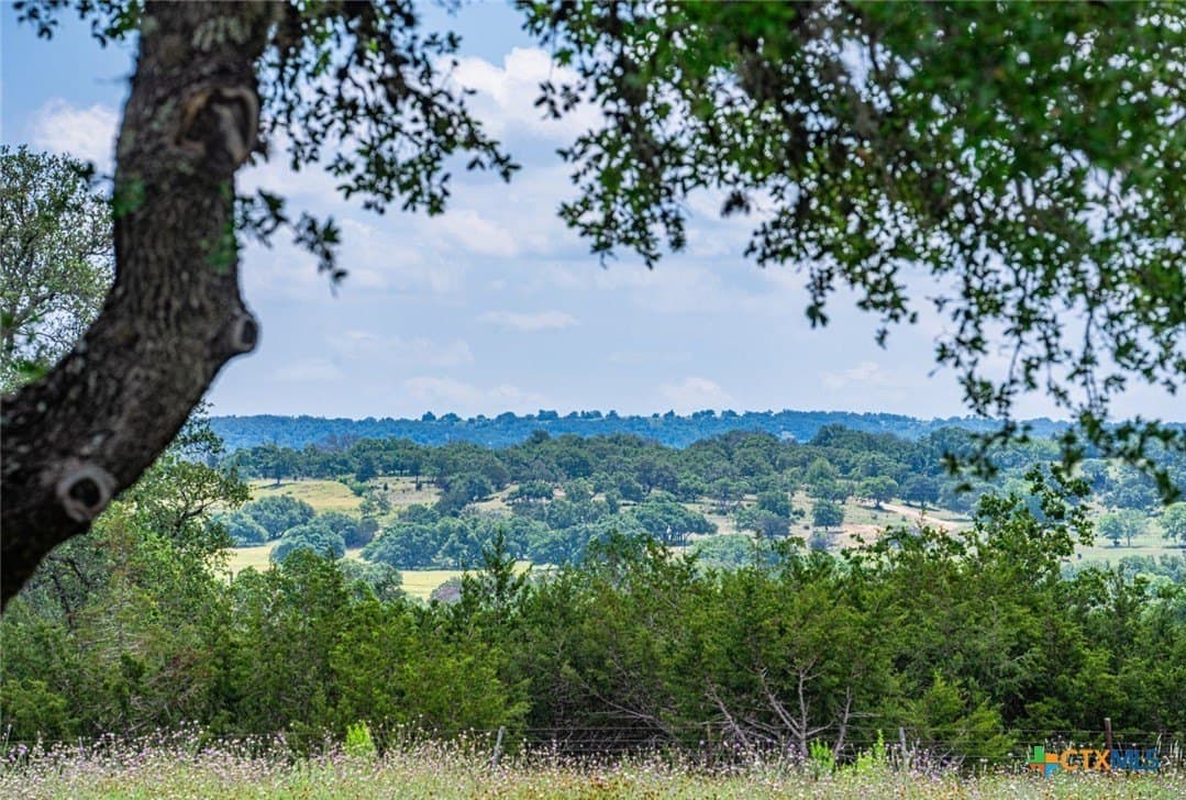259.15 acres in Blanco County - photo 38