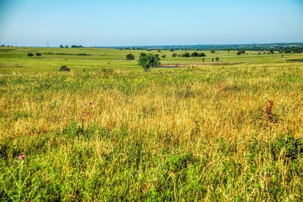 12.51 acres in Washington County - photo 7