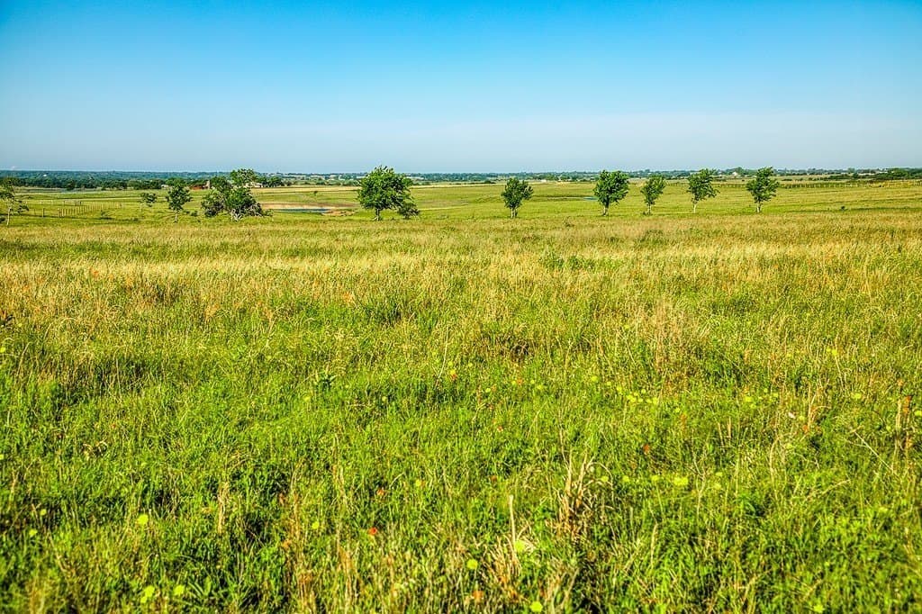 12.51 acres in Washington County - photo 8