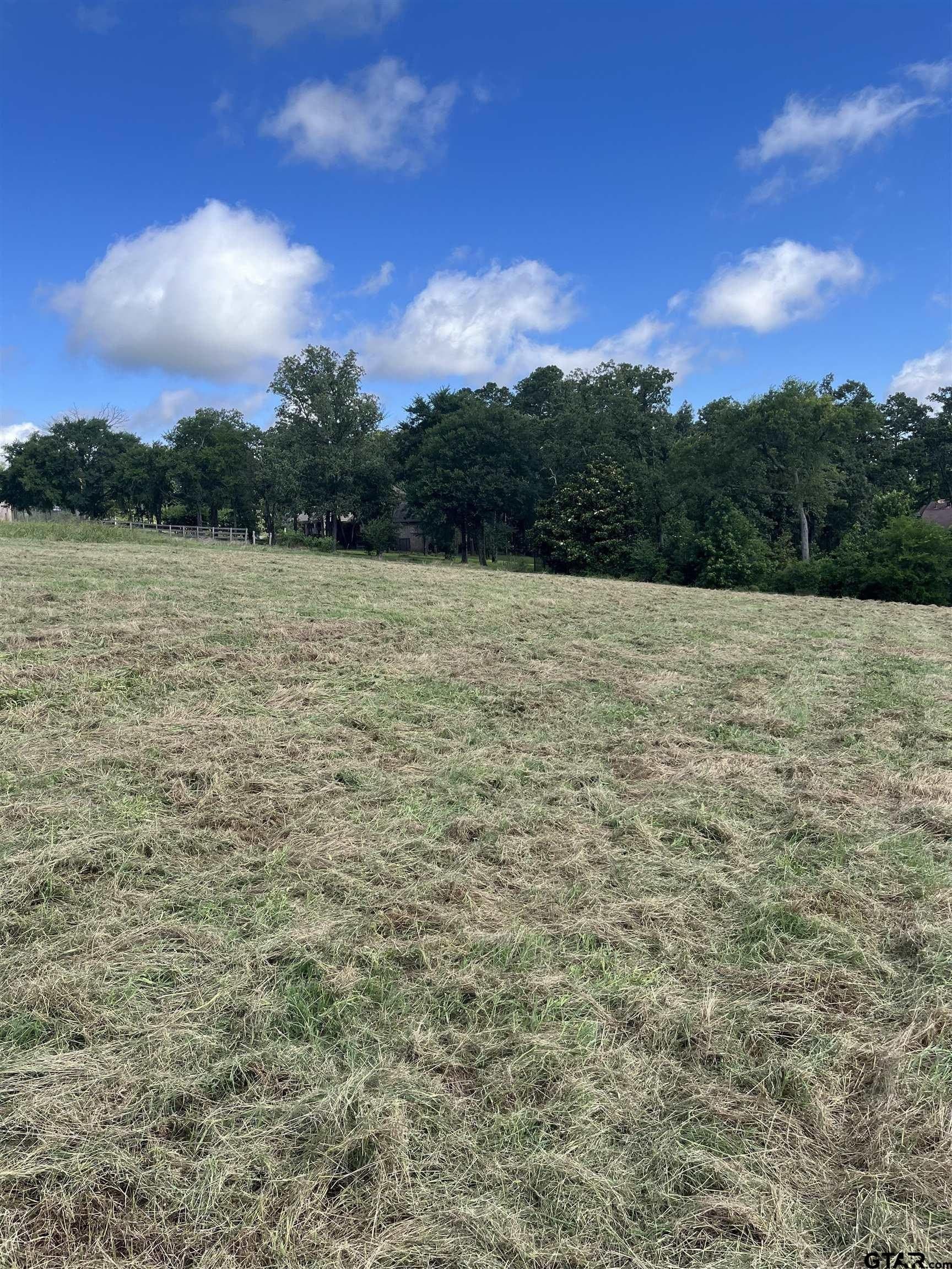 1.44 acres in Smith County - photo 2