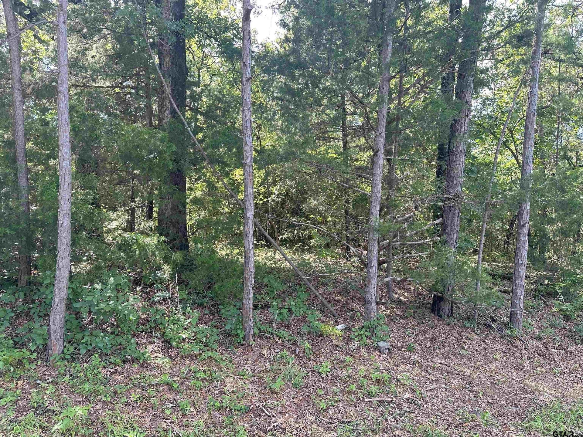 0 acres in Smith County - photo 3