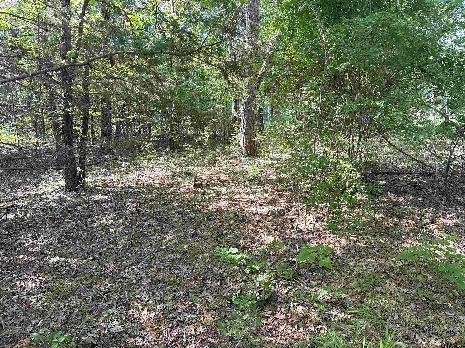 0 acres in Smith County - photo 11