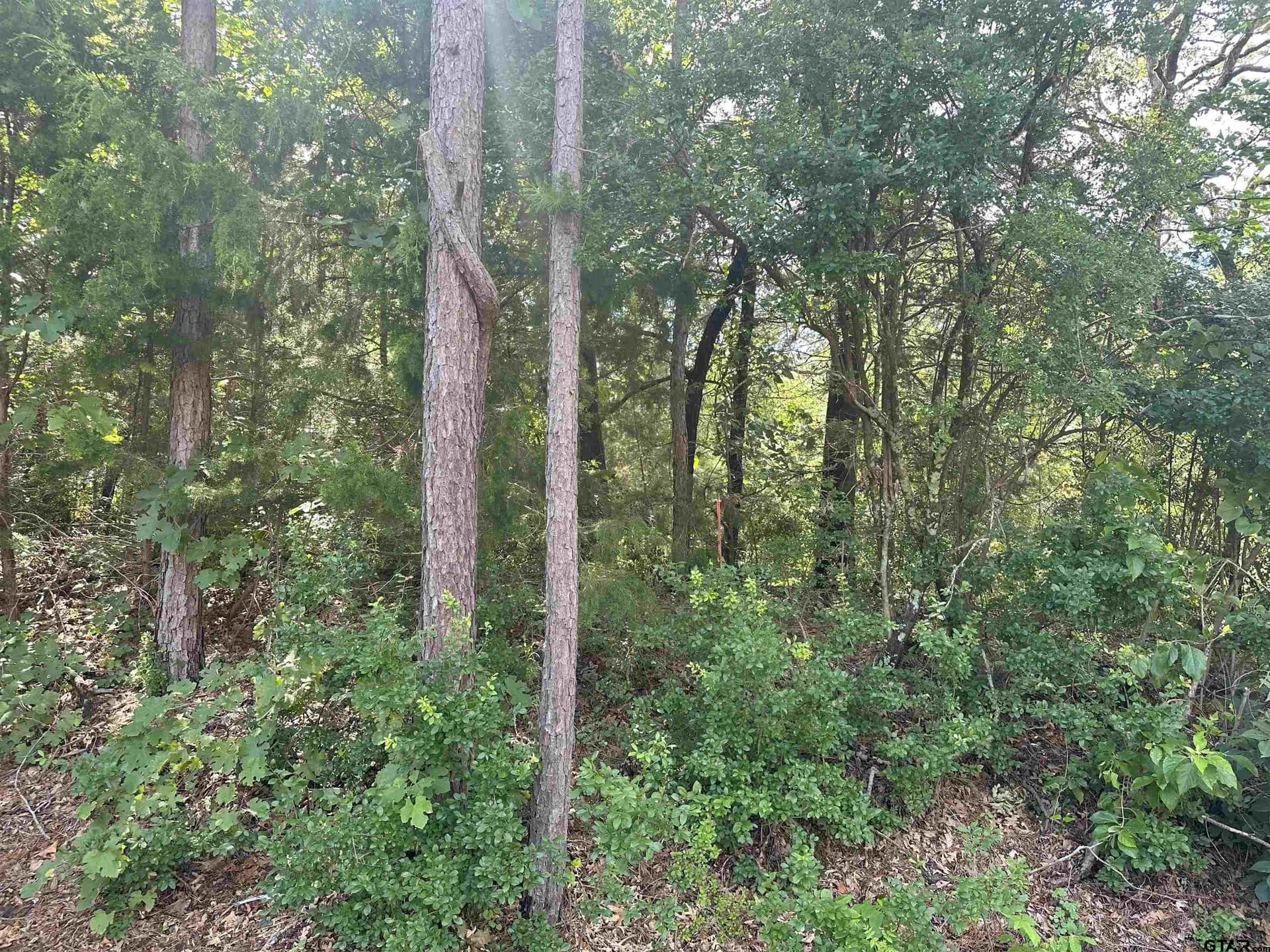 0 acres in Smith County - photo 4
