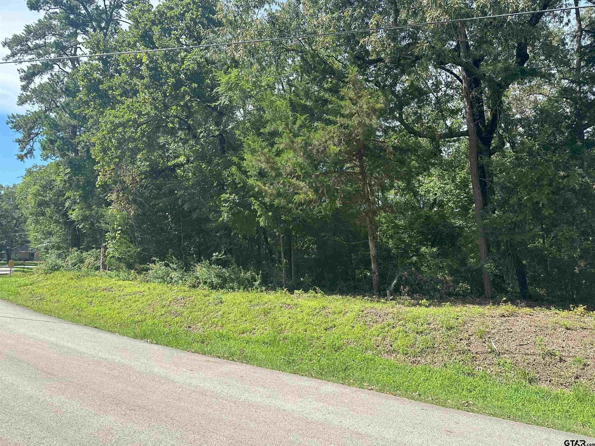 0 acres in Smith County - photo 2