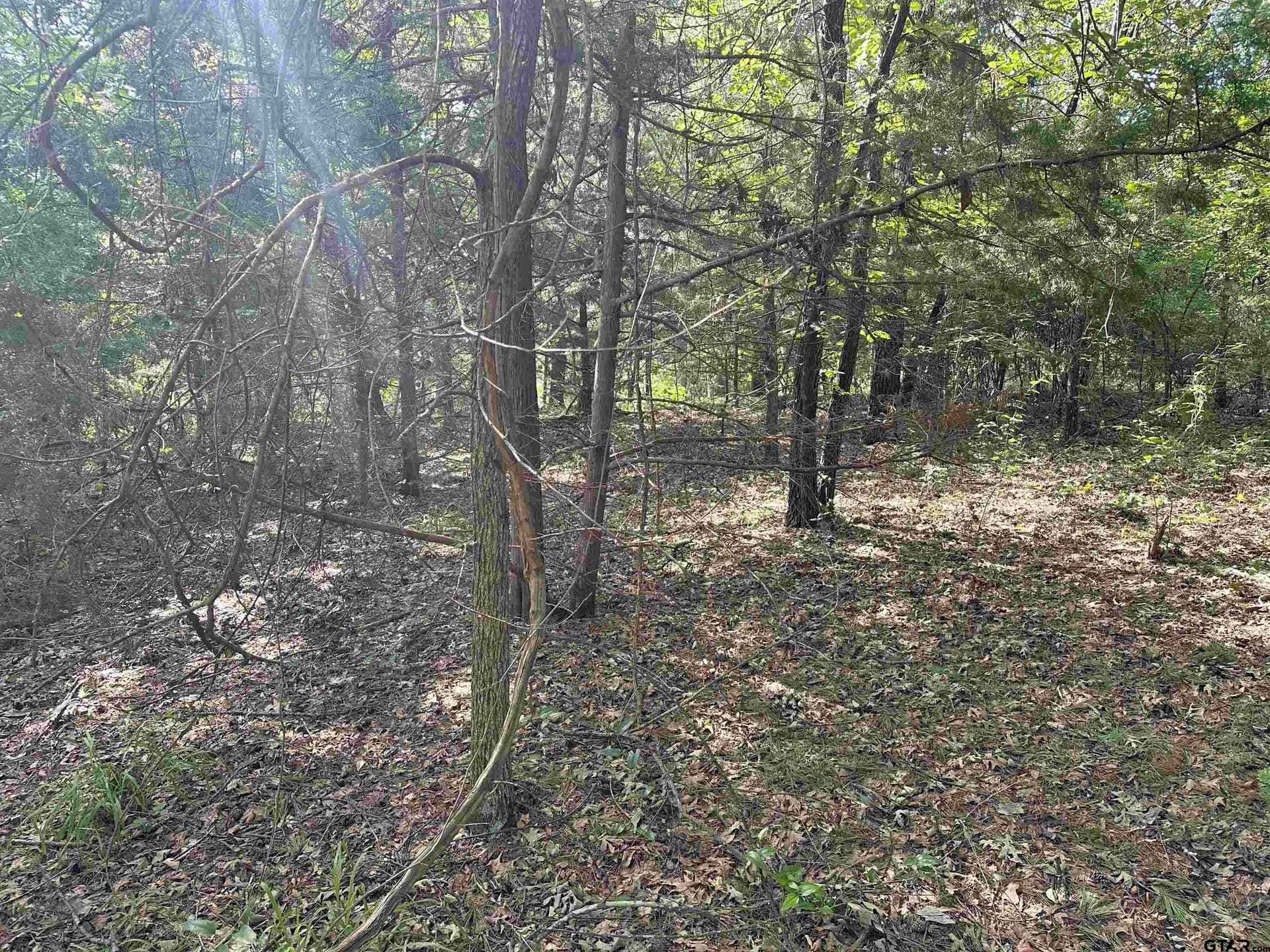 0 acres in Smith County - photo 10