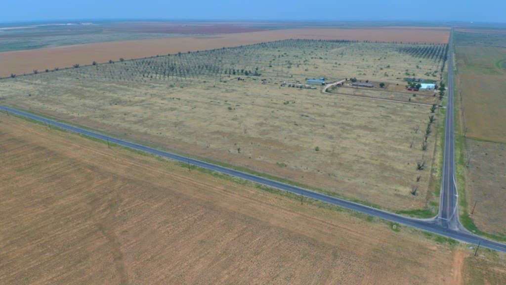 102 acres in Dawson County - photo 43