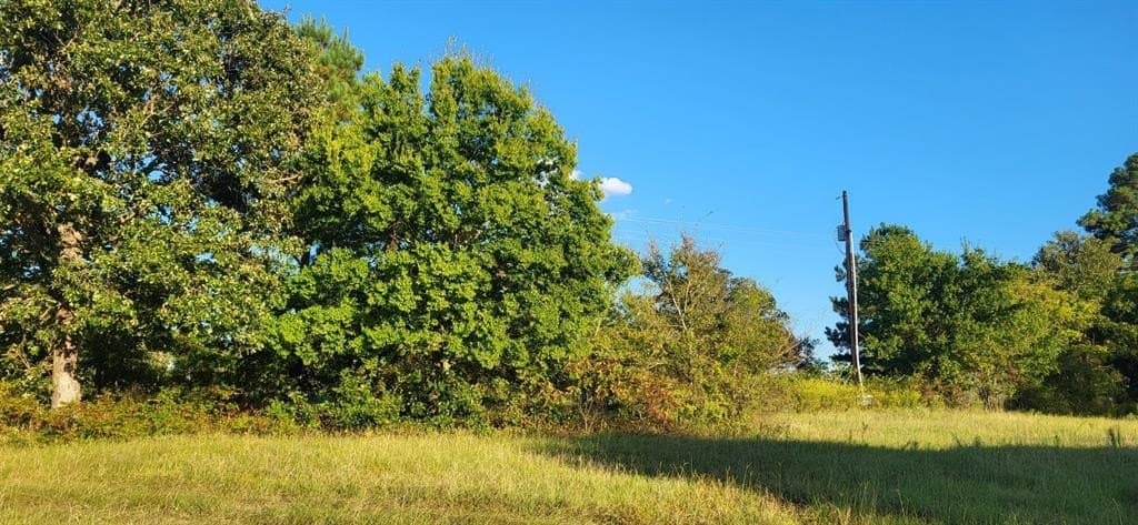 4.62 acres in Smith County - photo 3