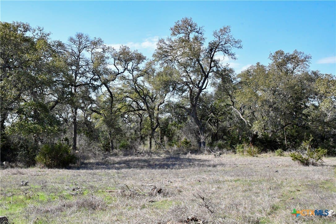15.03 acres in Comal County - photo 14