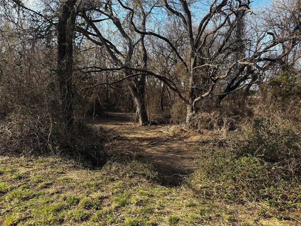 78.02 acres in Erath County - photo 25