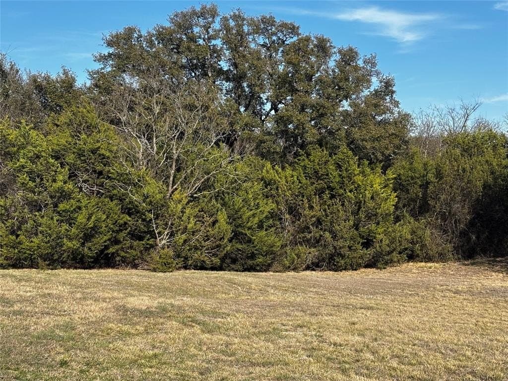 78.02 acres in Erath County - photo 23