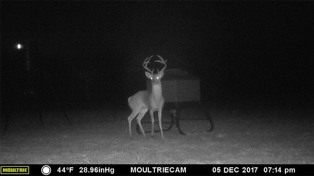 78.02 acres in Erath County - photo 19