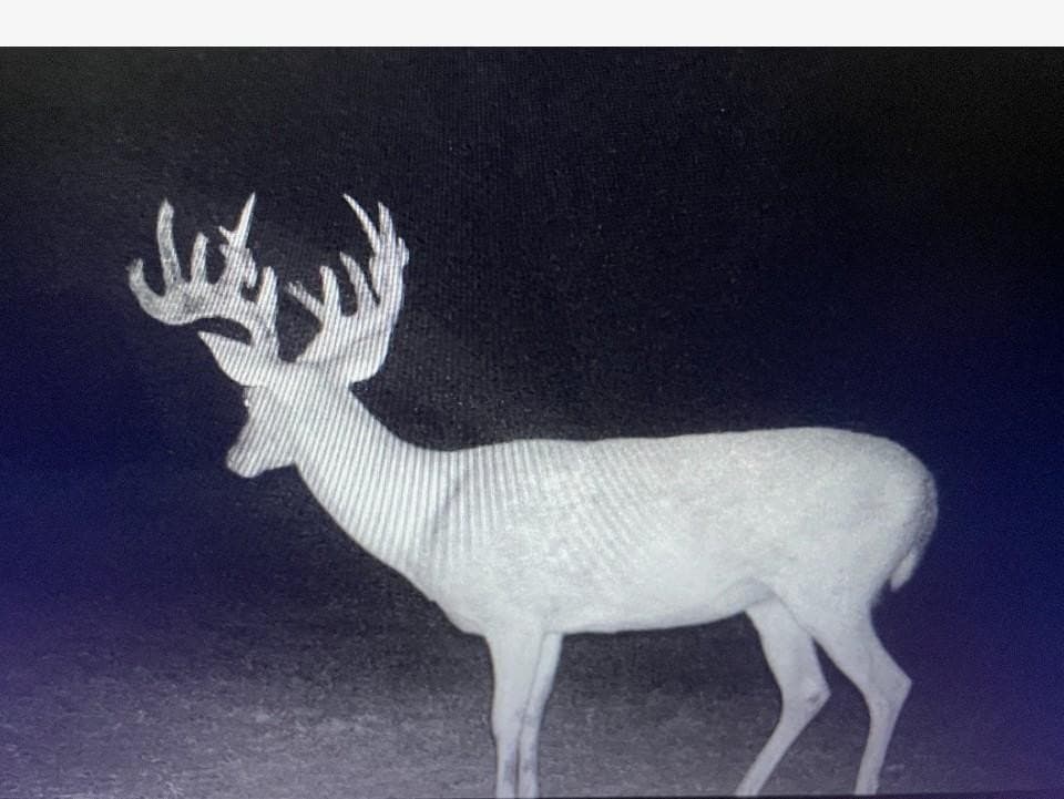 78.02 acres in Erath County - photo 17