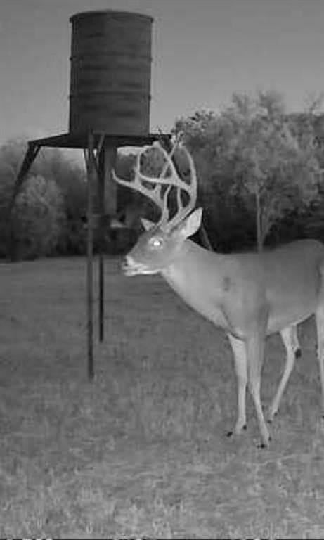 78.02 acres in Erath County - photo 20