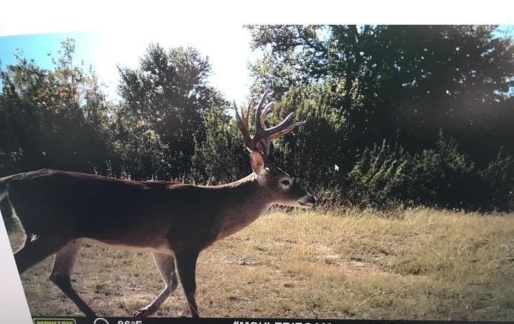 78.02 acres in Erath County - photo 21