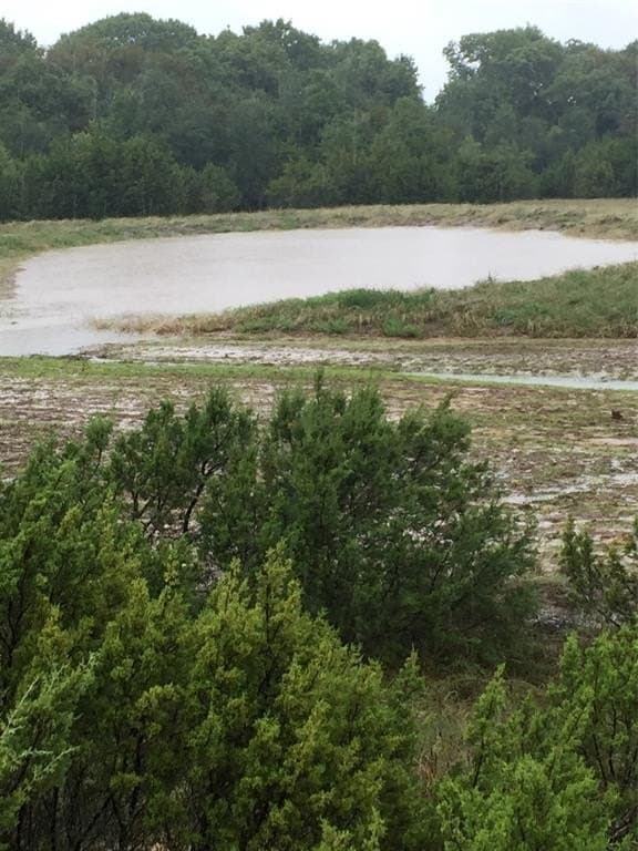 78.02 acres in Erath County - photo 16